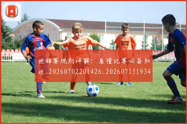 世锦赛规则详解：看懂比赛必备知识_20260702201426_20260715193433