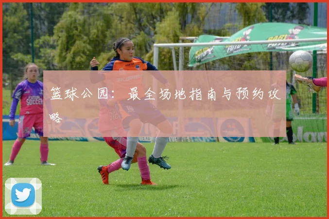 篮球公园：最全场地指南与预约攻略