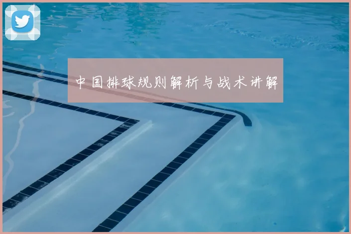 中国排球规则解析与战术讲解
