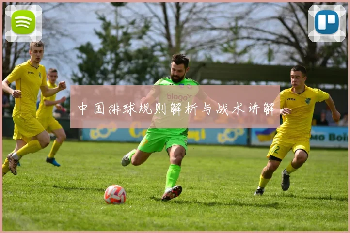 中国排球规则解析与战术讲解